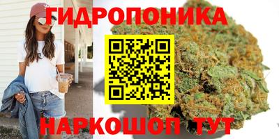 mdpv Гусь-Хрустальный