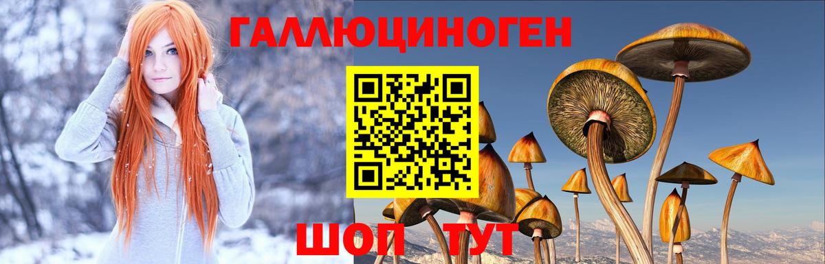 Мирный  Галлюциногенные грибы Psilocybe  как найти наркотики  Псилоцибиновые грибы ЛСД  Вход с VPN 